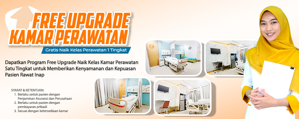 PROMO FREE UPGRADE copy